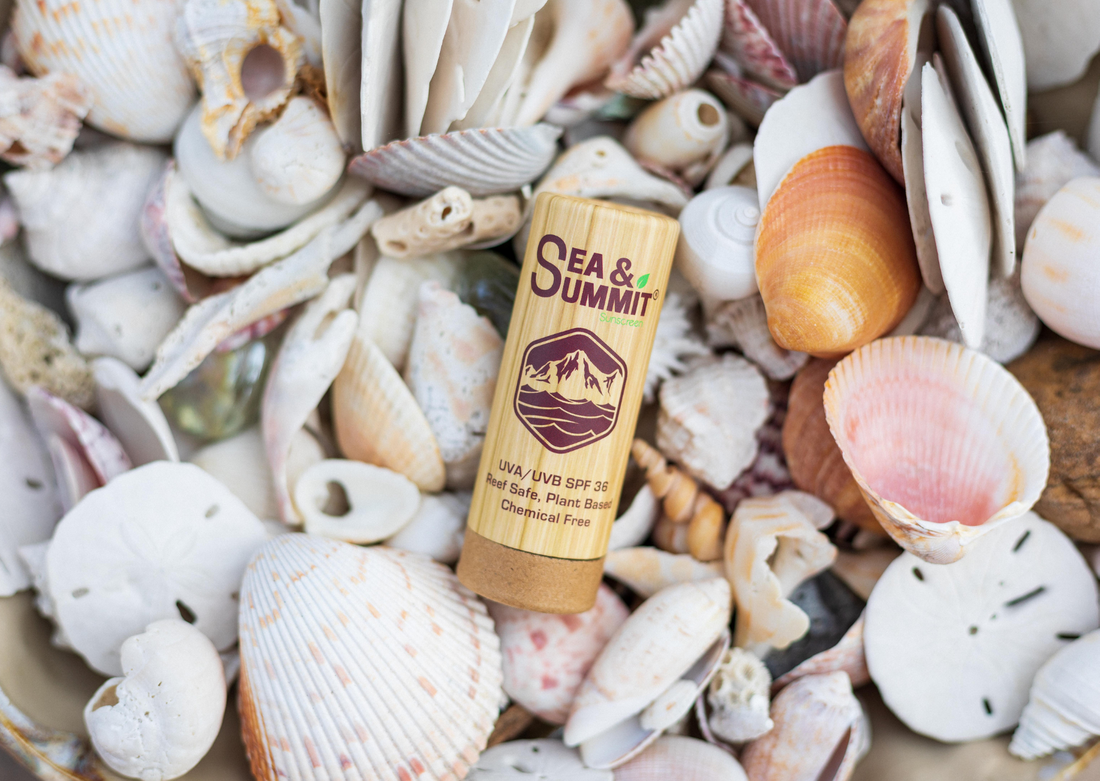 SPF 36 organic sunscreen face stick lying amongst a collection of sea shells on the beach.